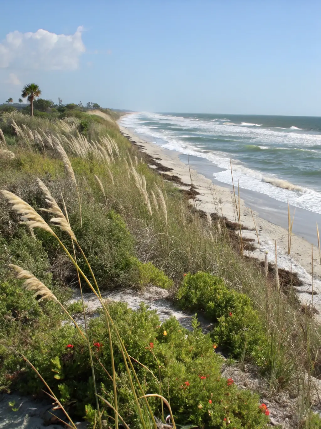 A scenic view of a restored riverbank with native plants and clear water, illustrating habitat enhancement and the organization's dedication to habitat management.